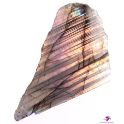 Plaque polie Labradorite Labrp21