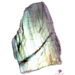 Plaque polie Labradorite Labrp28