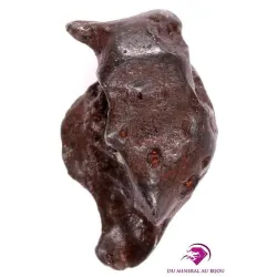 Météorite de Sikhote-Alin Mete28