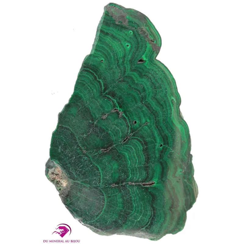 Tranche polie de Malachite