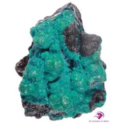 Chrysocolle du Congo