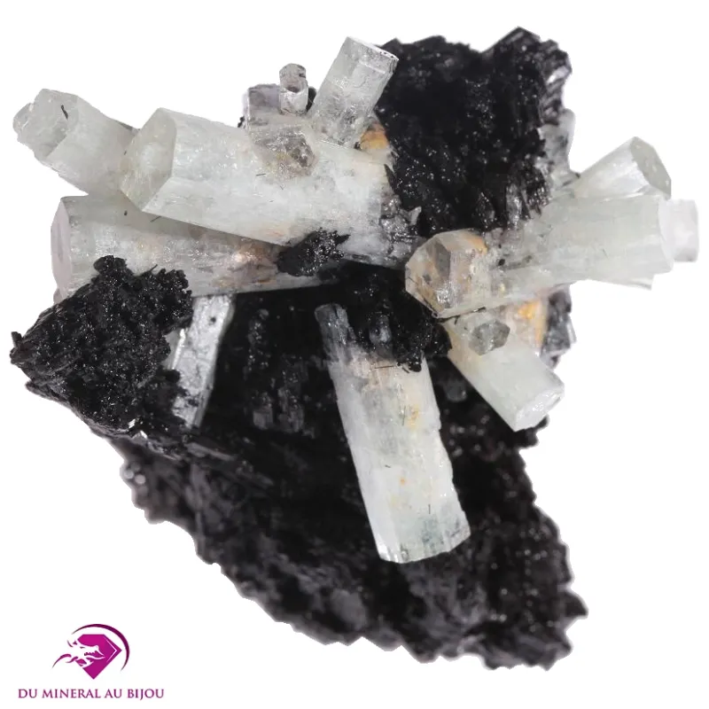 Cristaux d'Aigue-marine sur gangue de Tourmaline noire Cristaux d'Aigue-marine sur gangue de Tourmaline noire