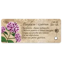 Le petit oracle de magie