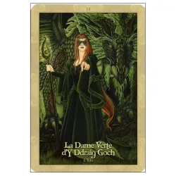 Oracle des dragons protecteurs