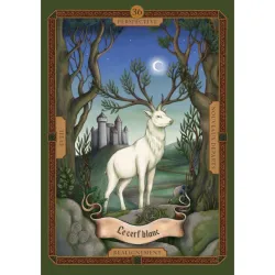 L'oracle des brumes d'Avalon