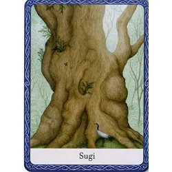 L'oracle de la sagesse des arbres