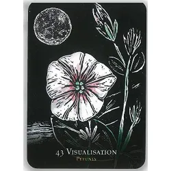 Oracle des fleurs nocturnes