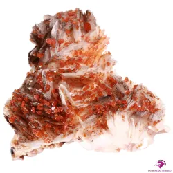 Vanadinite sur Baryte