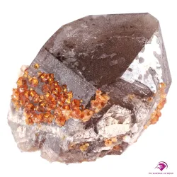 Quartz fumé et Spessartite