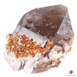 Pointe Quartz fumé et Spessartite