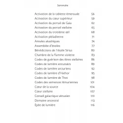 Le portail de lumière, interprétations des cartes