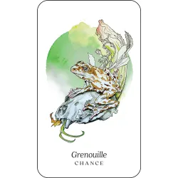 L'oracle des animaux de la forêt boréale, grenouille