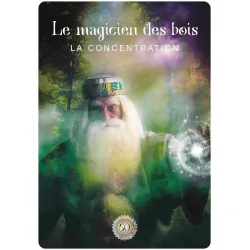 L'oracle de la forêt sacrée, le magicien des bois