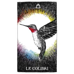 L'oracle de l'esprit animal sauvage et inconnu, le colibri