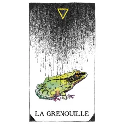 L'oracle de l'esprit animal sauvage et inconnu, la grenouille