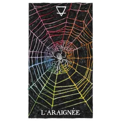 L'oracle de l'esprit animal sauvage et inconnu, l'araignée