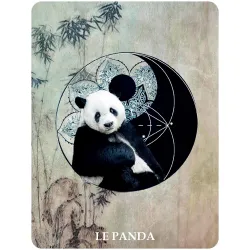 60 cartes de la Communication Animale, le panda