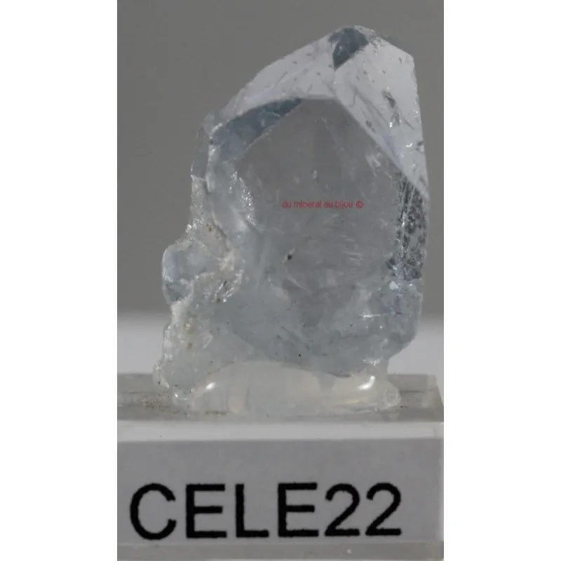 CELESTINE cele22