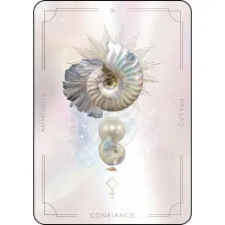 Cristaux & Voyage Astral, ammonite