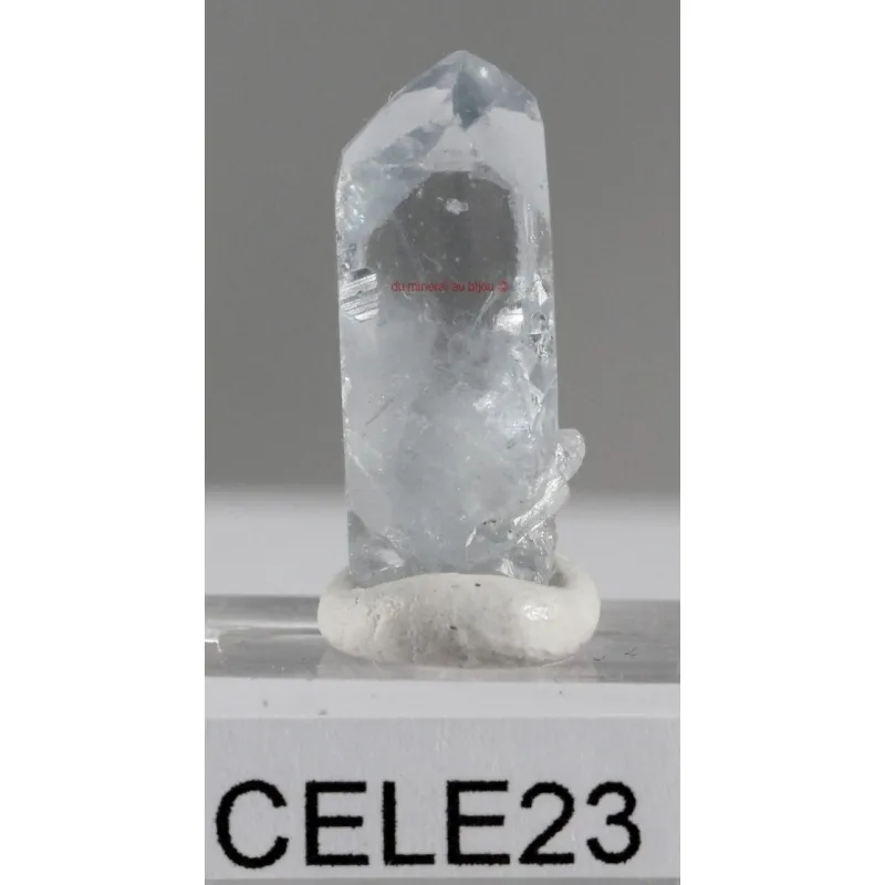 CELESTINE cele23