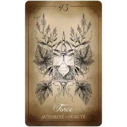 Antidote Magique - L'Oracle des sœurs Chaudron, force