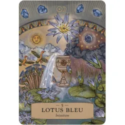 L'oracle des astres et des plantes, lotus bleu