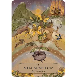 L'oracle des astres et des plantes, millepertuis