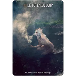 L'Oracle des chamanes lumière, le totem du loup