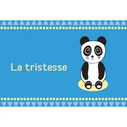 Mes petites cartes pour apprivoiser mes émotions d'enfant, la tristesse