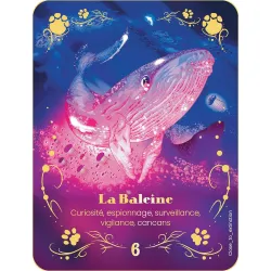 L'oracle de la conscience animale, la baleine