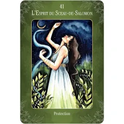 Le sentier des sorcières, Protection