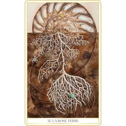 L'oracle des roses médecines : la rose terre