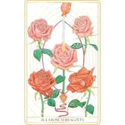 L'oracle des roses médecines : la rose terracotta