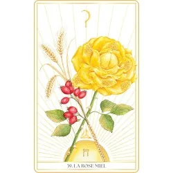 L'oracle des roses médecines : la rose miel