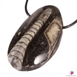 Orthoceras, pierre percée