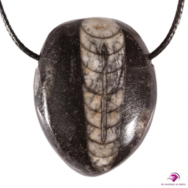 Pendentif en Orthoceras Pendentif en Orthoceras