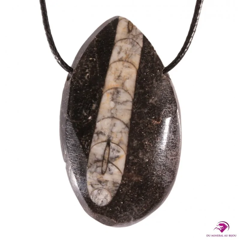 Pendentif en Orthoceras Pendentif en Orthoceras