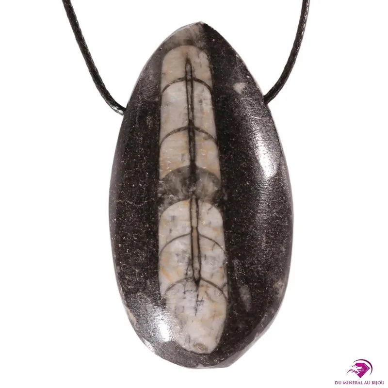 Pendentif en Orthoceras Pendentif en Orthoceras