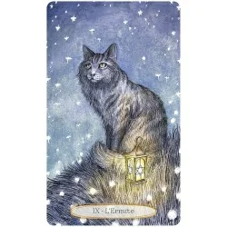 Le tarot spirituel des chats, lame majeur l'ermite