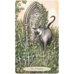 Le tarot spirituel des chats, lame mineur dix d'épées