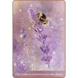 Retour vers soi, guérir ses émotions avec une plante Retour vers soi, guérir ses émotions avec une plante