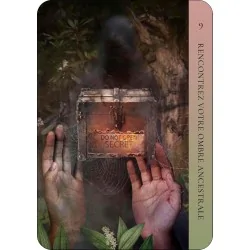 L'oracle de la guérison ancestrale, rencontrez votre ombre ancestrale L'oracle de la guérison ancestrale, rencontrez votre ombre ancestrale