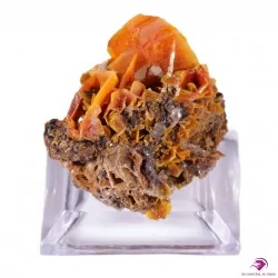 Macle de Wulfénite Provenance : Kuruktag Mountains, Xinjang Uygur, Chine