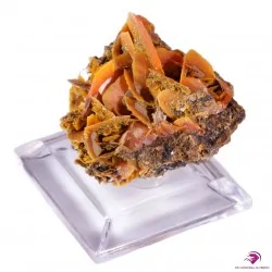 Macle de Wulfénite Kuruktag Mountains, Chine