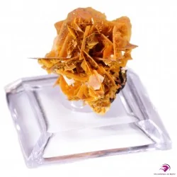 Wulfénite. Provenance : Kuruktag Mountains, Xinjang Uygur, Chine Wulfénite. Provenance : Kuruktag Mountains, Xinjang Uygur, Chine