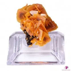 Macle de Wulfénite Provenance : Kuruktag Mountains, Xinjang Uygur, Chine