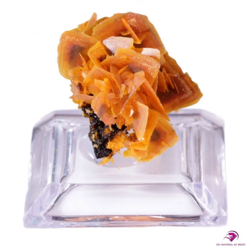 Macle de Wulfénite Provenance : Kuruktag Mountains, Xinjang Uygur, Chine Macle de Wulfénite Provenance : Kuruktag Mountains, Xinjang Uygur, Chine