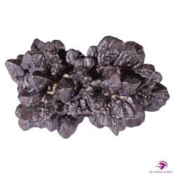 Prophecy Stone (Dream Stone) Prophecy Stone (Dream Stone)