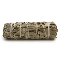 Bâton de sauge blanche