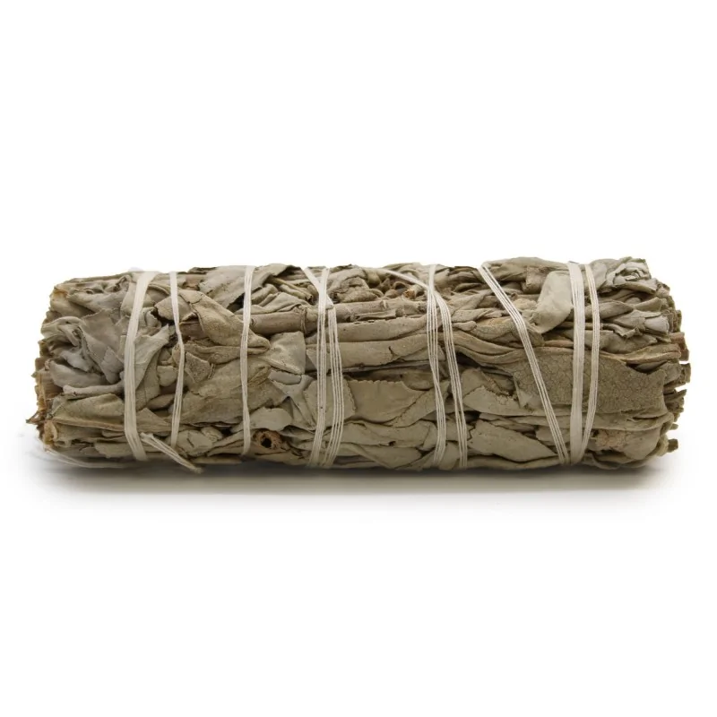 Bâton de sauge blanche